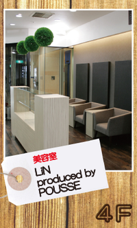 LiN produced by POUSSE